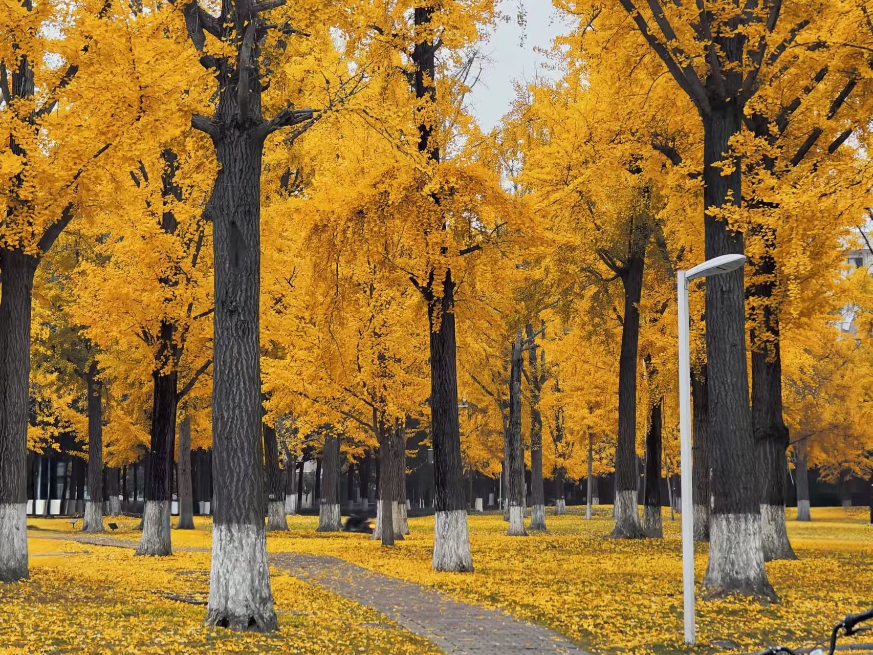 cfac460950dc80b4eda640ccc442e492.jpg cfac460950dc80b4eda640ccc442e492.jpg